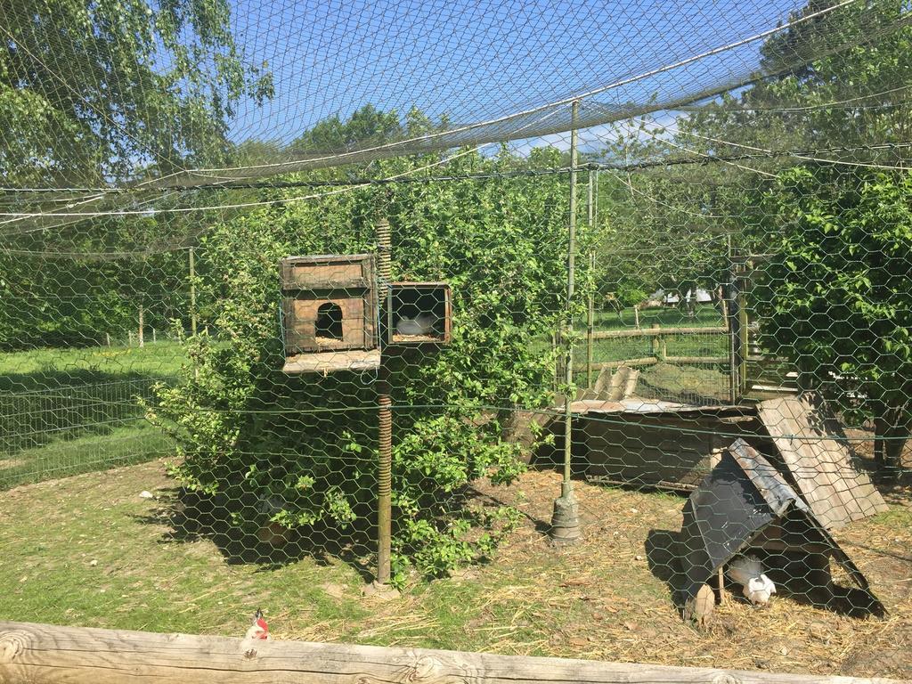 Chambre Chez Corinne Fourneville Kültér fotó